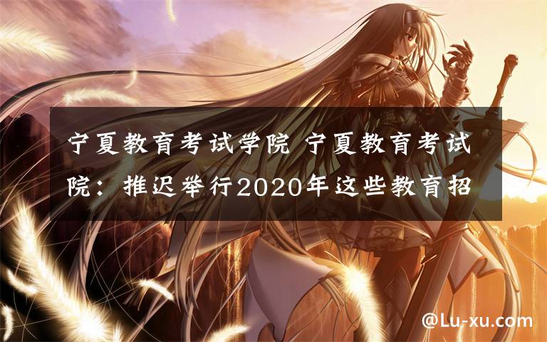 宁夏教育考试学院 宁夏教育考试院:推迟举行2020年这些教育招生考试