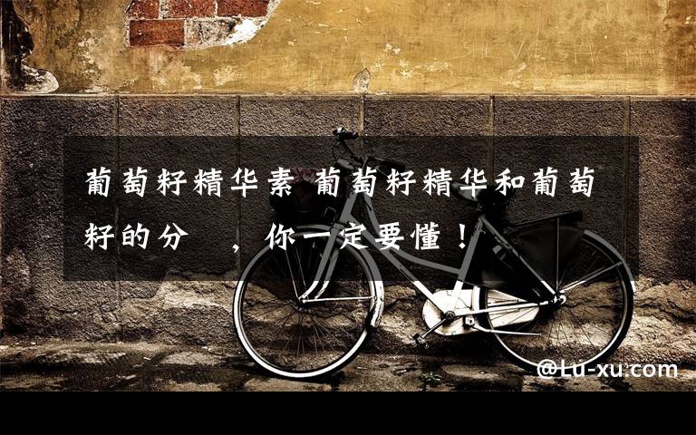 葡萄籽精华素 葡萄籽精华和葡萄籽的分別，你一定要懂！