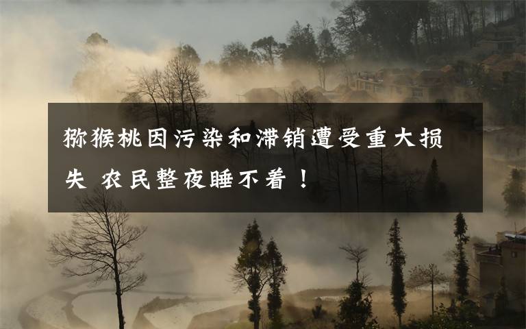 猕猴桃因污染和滞销遭受重大损失 农民整夜睡不着!