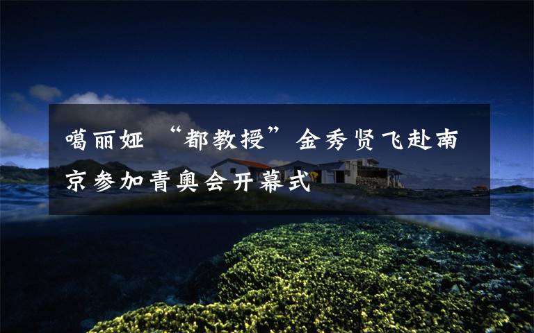 噶丽娅 “都教授”金秀贤飞赴南京参加青奥会开幕式