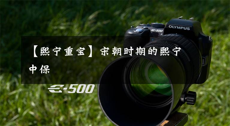 【熙宁重宝】宋朝时期的熙宁中保