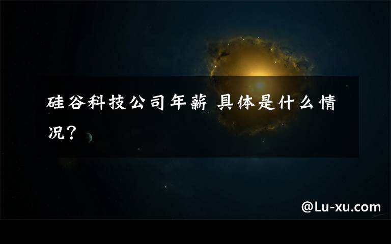 硅谷科技公司年薪 具体是什么情况?