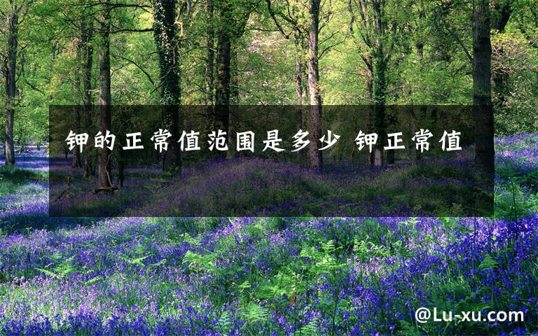 钾的正常值范围是多少 钾正常值