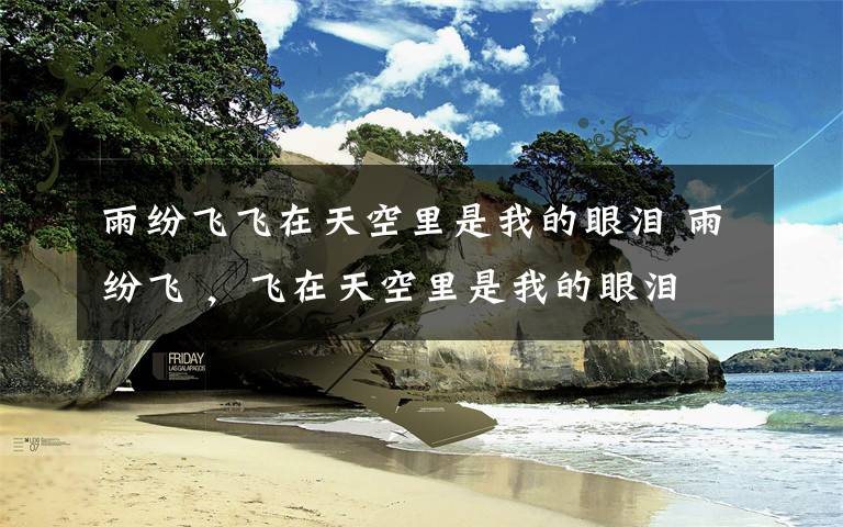 雨纷飞飞在天空里是我的眼泪 雨纷飞 ,飞在天空里是我的眼泪