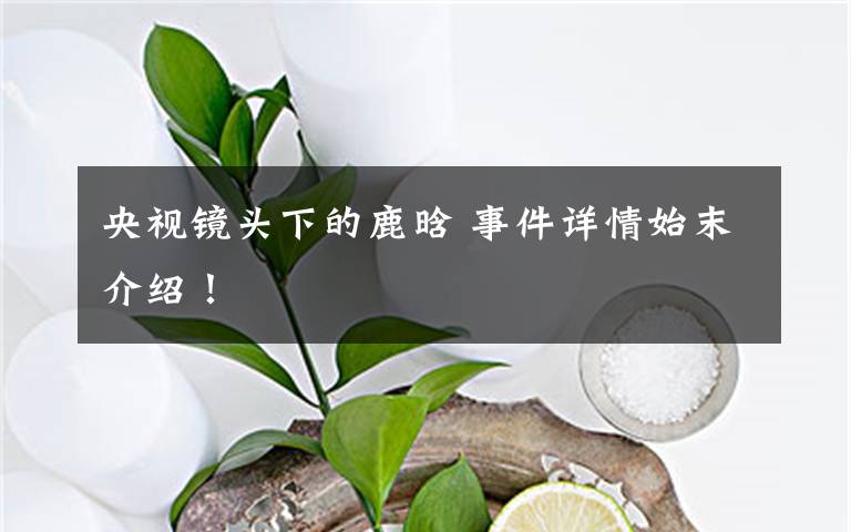 央视镜头下的鹿晗 事件详情始末介绍！