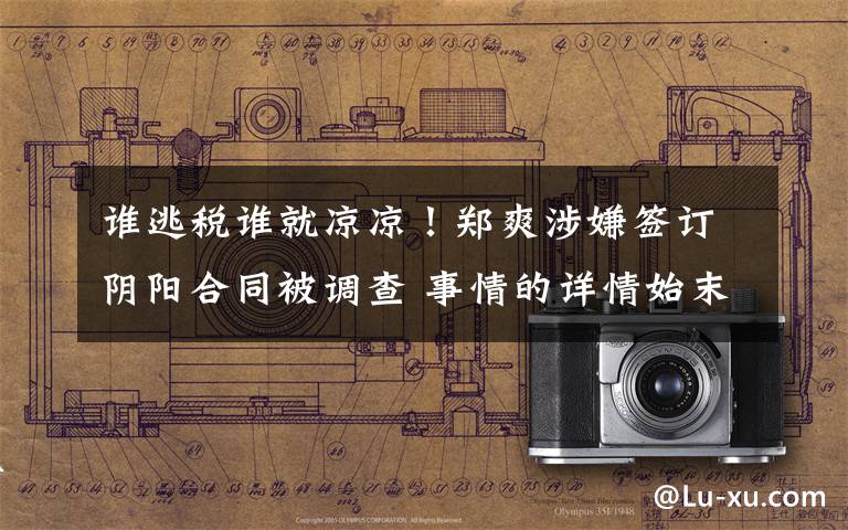谁逃税谁就凉凉!郑爽涉嫌签订阴阳合同被调查 事情的详情始末是怎么样了!