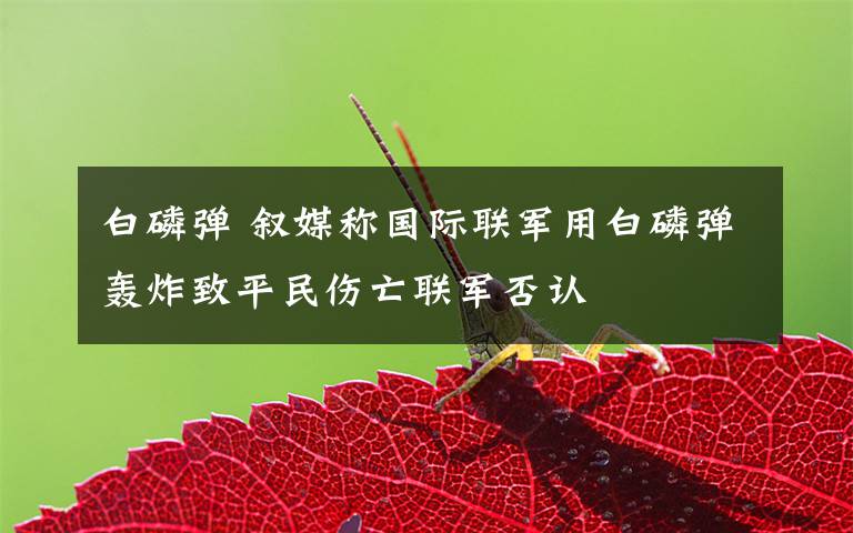 白磷弹 叙媒称国际联军用白磷弹轰炸致平民伤亡联军否认