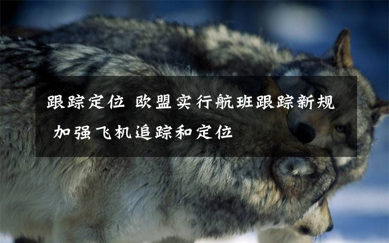 跟踪定位 欧盟实行航班跟踪新规 加强飞机追踪和定位