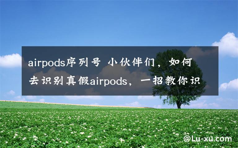 airpods序列号 小伙伴们,如何去识别真假airpods,一招教你识别真假悟空