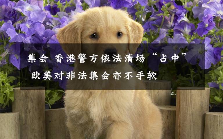 集会 香港警方依法清场“占中” 欧美对非法集会亦不手软