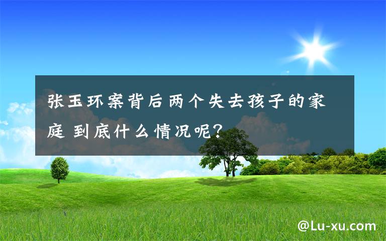 张玉环案背后两个失去孩子的家庭 到底什么情况呢?