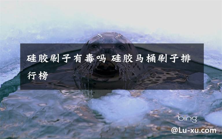 硅胶刷子有毒吗 硅胶马桶刷子排行榜