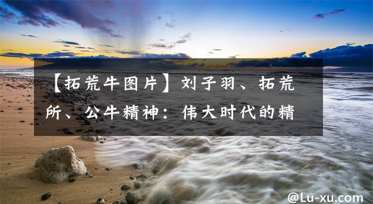 【拓荒牛图片】刘子羽、拓荒所、公牛精神:伟大时代的精神画像