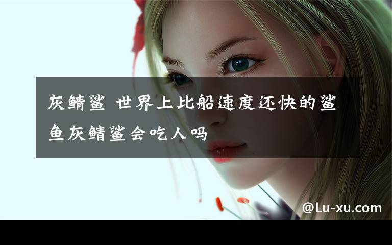 灰鲭鲨 世界上比船速度还快的鲨鱼灰鲭鲨会吃人吗