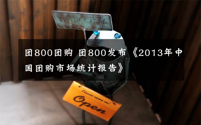 团800团购 团800发布《2013年中国团购市场统计报告》