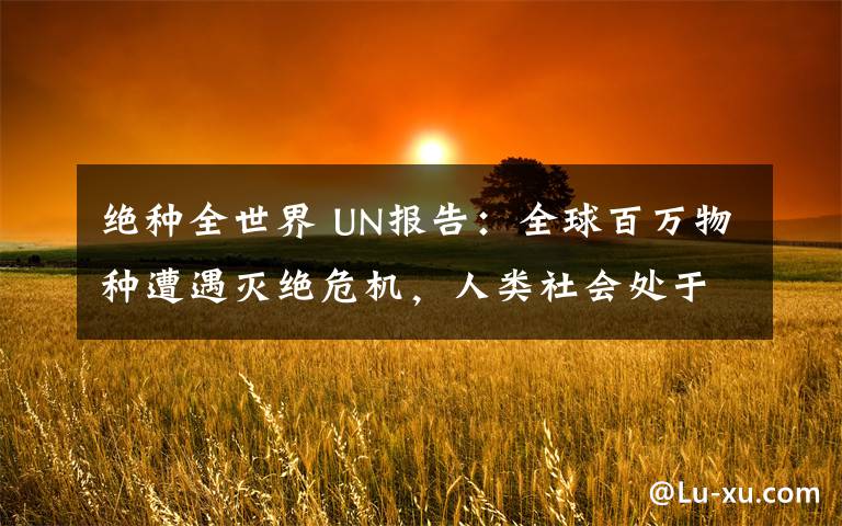 绝种全世界 UN报告：全球百万物种遭遇灭绝危机，人类社会处于危险境地