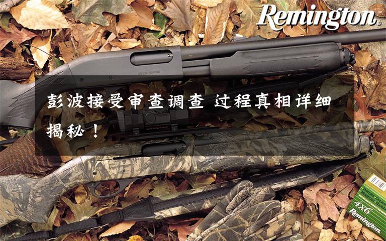 彭波接受审查调查 过程真相详细揭秘!