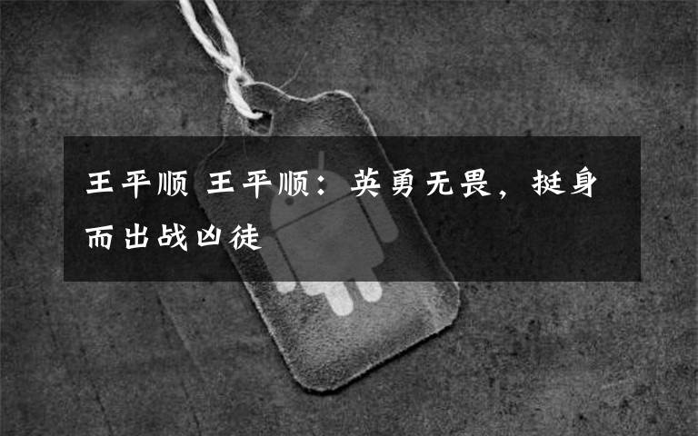 王平顺 王平顺:英勇无畏,挺身而出战凶徒