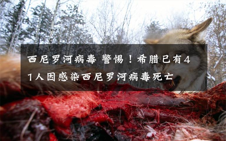 西尼罗河病毒 警惕！希腊已有41人因感染西尼罗河病毒死亡