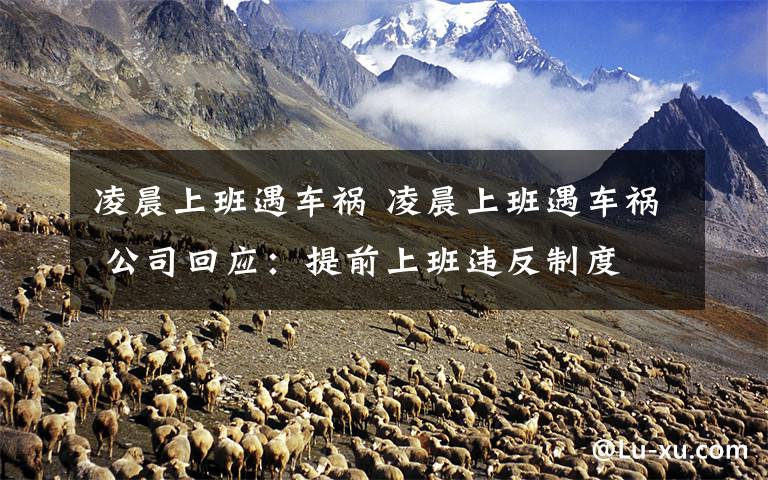 凌晨上班遇车祸 凌晨上班遇车祸 公司回应:提前上班违反制度