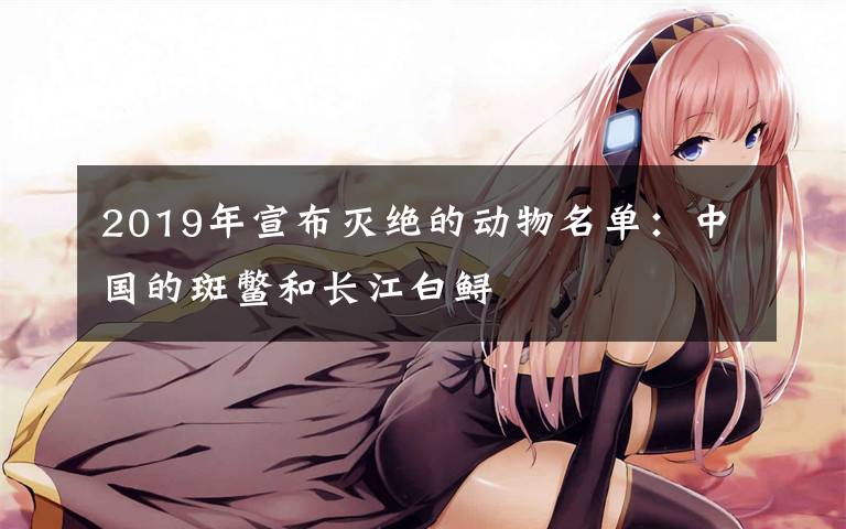 2019年宣布灭绝的动物名单:中国的斑鳖和长江白鲟