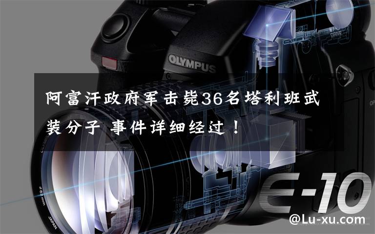 阿富汗政府军击毙36名塔利班武装分子 事件详细经过!