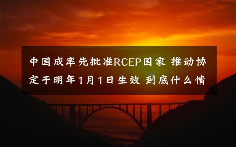 中国成率先批准RCEP国家 推动协定于明年1月1日生效 到底什么情况呢?