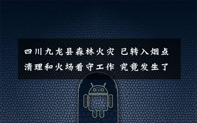 四川九龙县森林火灾 已转入烟点清理和火场看守工作 究竟发生了什么?