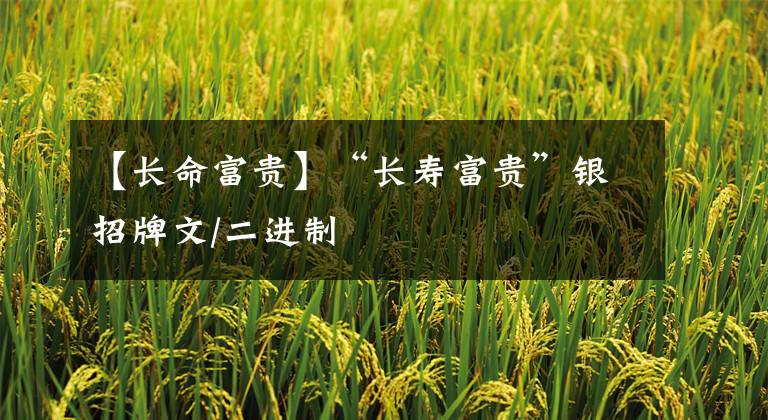 【长命富贵】“长寿富贵”银招牌文/二进制