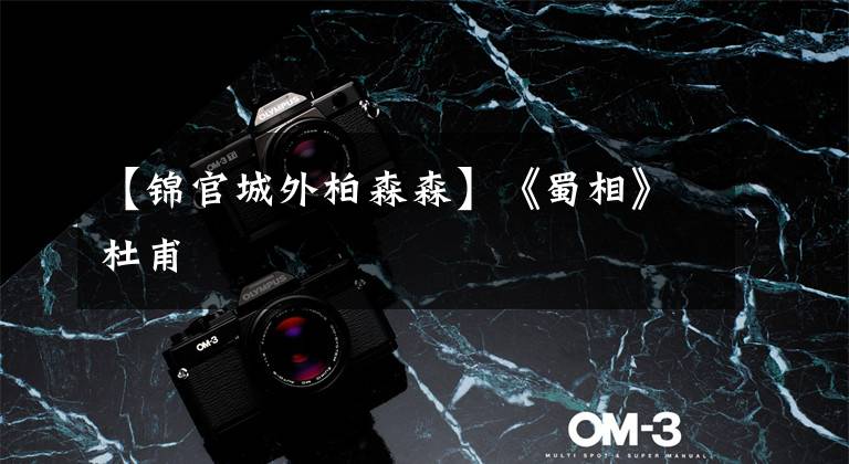 【锦官城外柏森森】《蜀相》杜甫