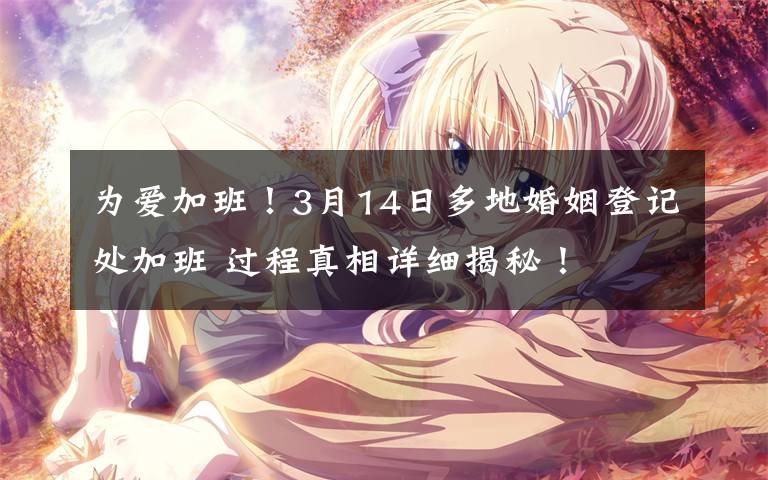 为爱加班!3月14日多地婚姻登记处加班 过程真相详细揭秘!