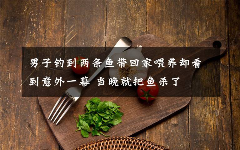 男子钓到两条鱼带回家喂养却看到意外一幕 当晚就把鱼杀了