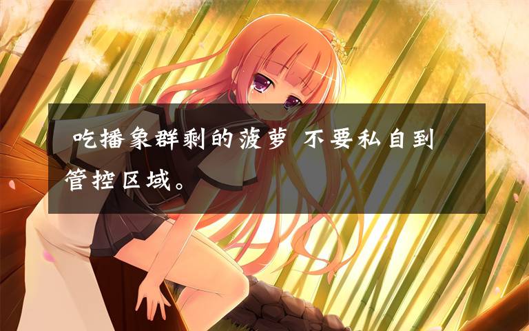 吃播象群剩的菠萝 不要私自到管控区域。