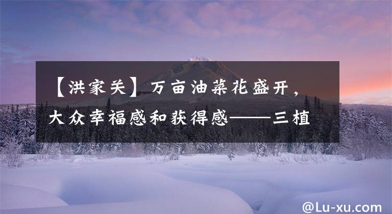 【洪家关】万亩油菜花盛开,大众幸福感和获得感——三植县红家观柏族乡进行现代化农业建设见闻。