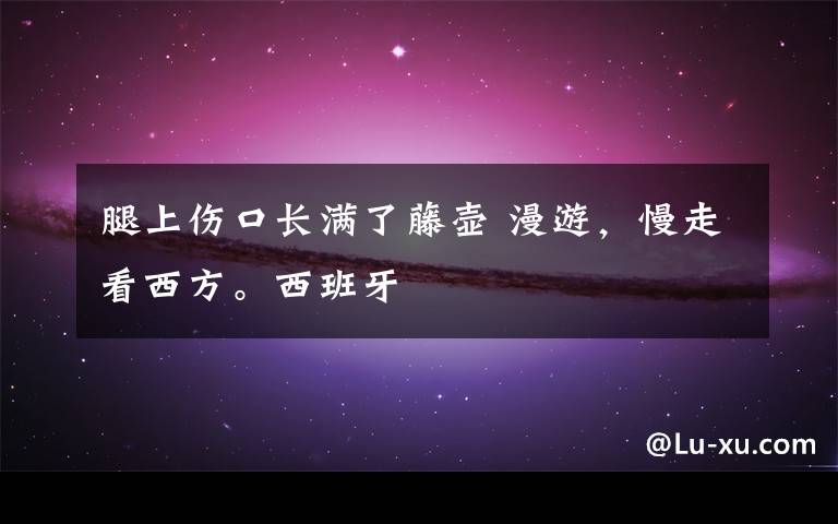 腿上伤口长满了藤壶 漫游,慢走看西方。西班牙