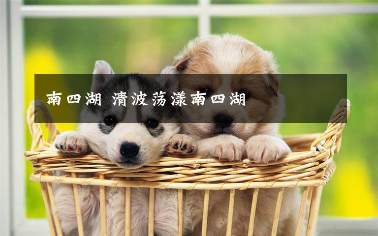 南四湖 清波荡漾南四湖
