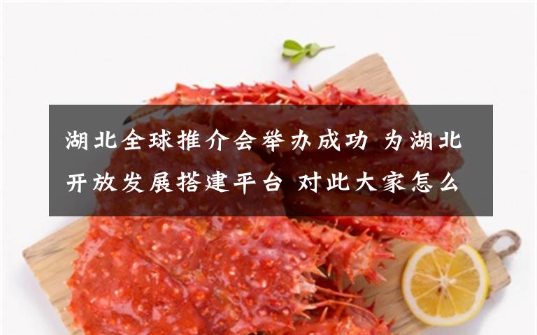 湖北全球推介会举办成功 为湖北开放发展搭建平台 对此大家怎么看?