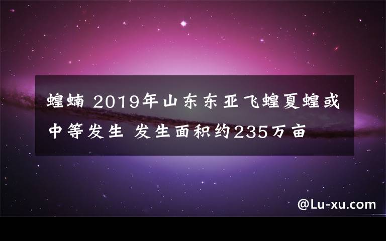 蝗蝻 2019年山东东亚飞蝗夏蝗或中等发生 发生面积约235万亩