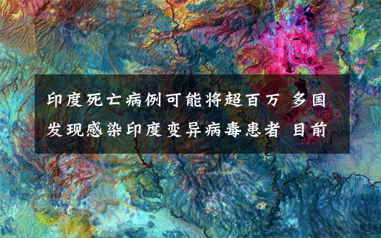 印度死亡病例可能将超百万 多国发现感染印度变异病毒患者 目前是什么情况?