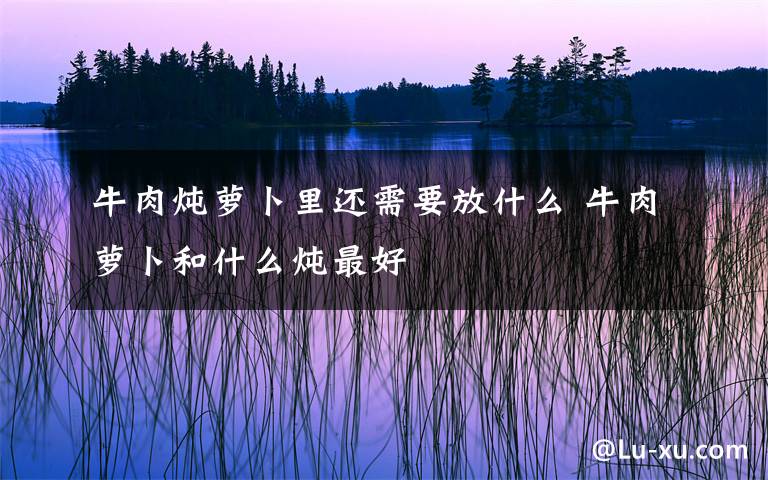 牛肉炖萝卜里还需要放什么 牛肉萝卜和什么炖最好