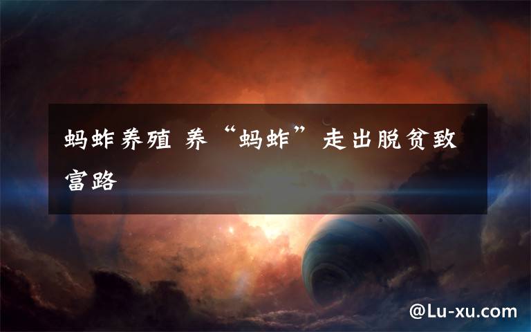 蚂蚱养殖 养“蚂蚱”走出脱贫致富路