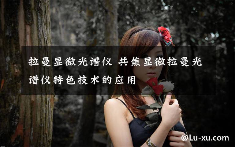 拉曼显微光谱仪 共焦显微拉曼光谱仪特色技术的应用