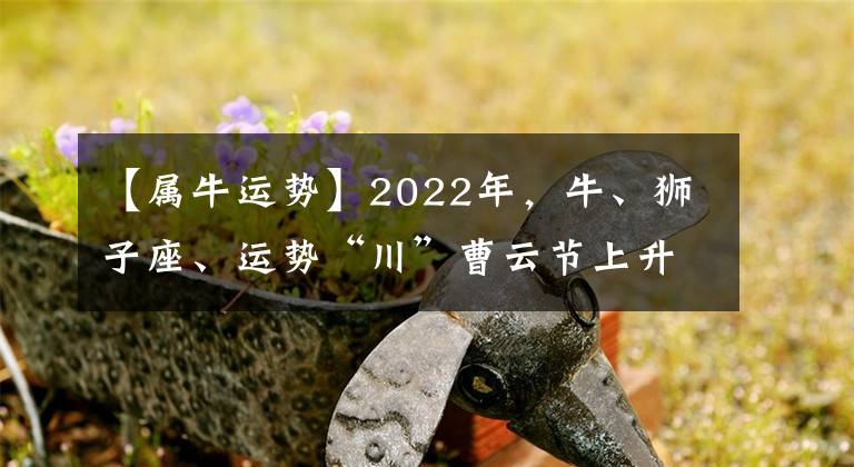 【属牛运势】2022年,牛、狮子座、运势“川”曹云节上升。