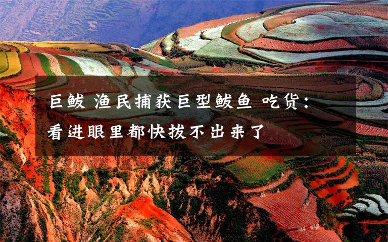 巨鲅 渔民捕获巨型鲅鱼 吃货:看进眼里都快拔不出来了