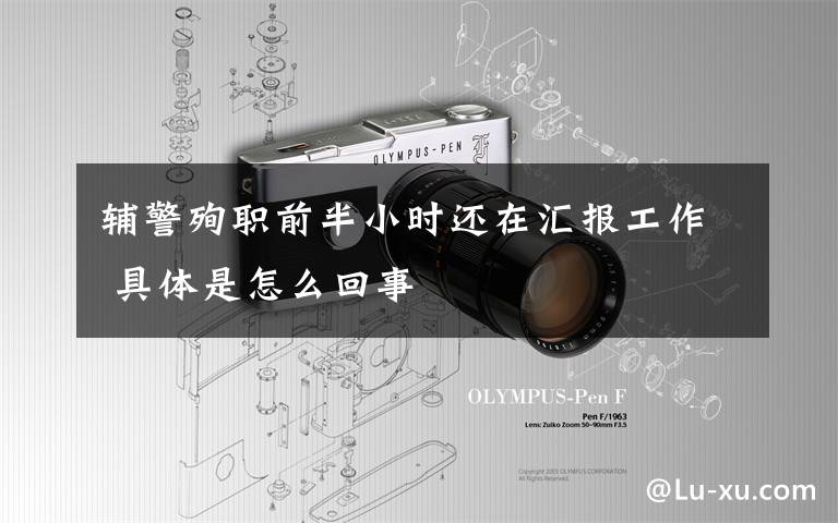 辅警殉职前半小时还在汇报工作 具体是怎么回事