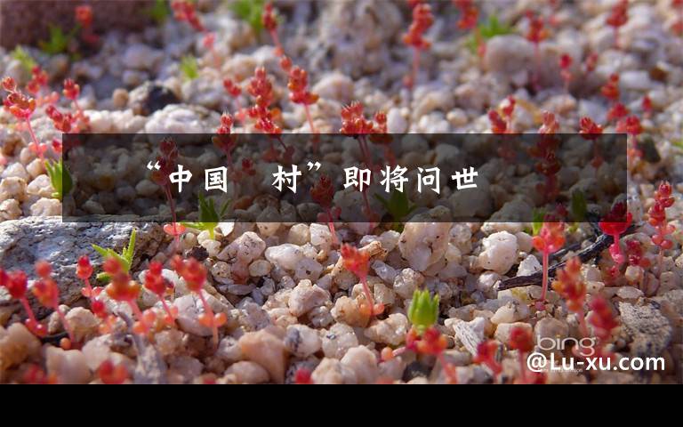 厵 “中国厵村”即将问世