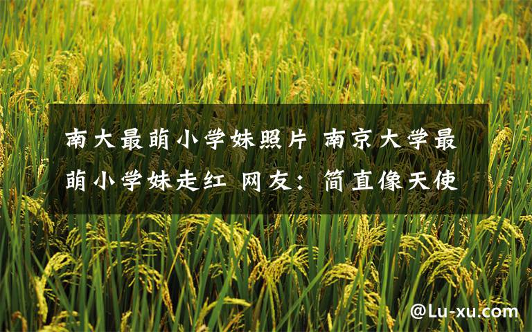 南大最萌小学妹照片 南京大学最萌小学妹走红 网友:简直像天使/图