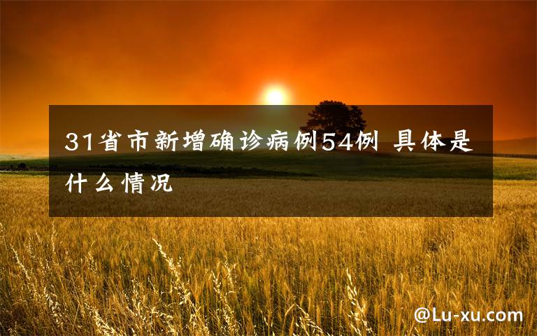 31省市新增确诊病例54例 具体是什么情况