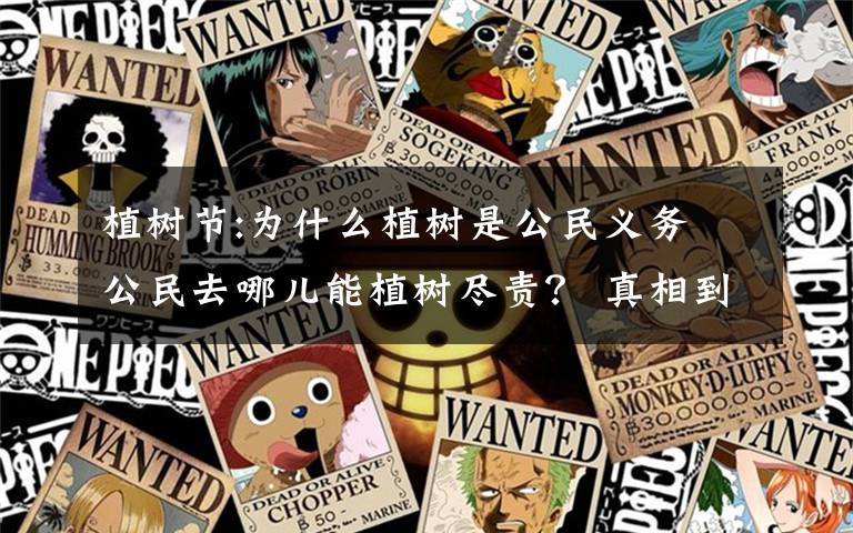 植树节:为什么植树是公民义务 公民去哪儿能植树尽责? 真相到底是怎样的?