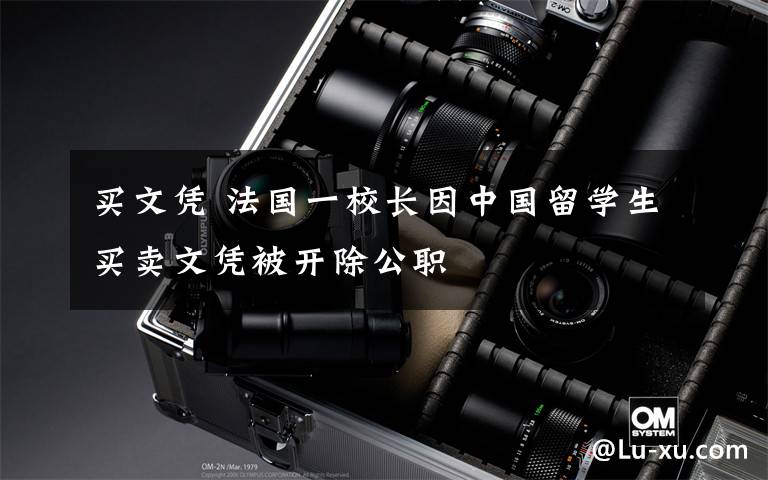 买文凭 法国一校长因中国留学生买卖文凭被开除公职